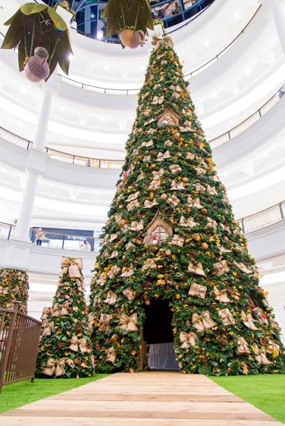 Árvore de natal Árvore de natal