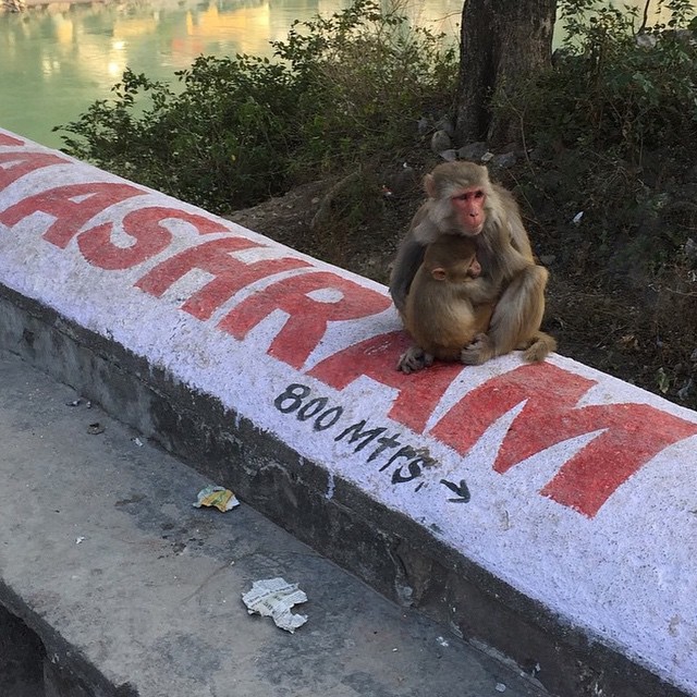 "A caminho do ashram do Prem baba"