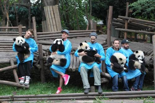 Fofura do dia: Backstreet Boys fotografam com pandas na China