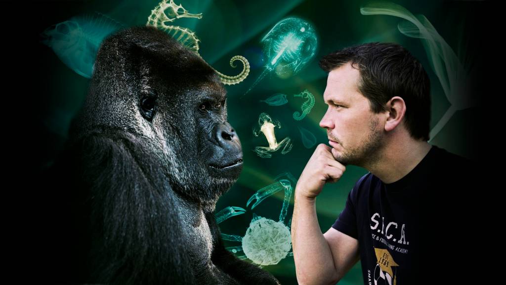Filmes sobre Darwin no Museu de Zoologia