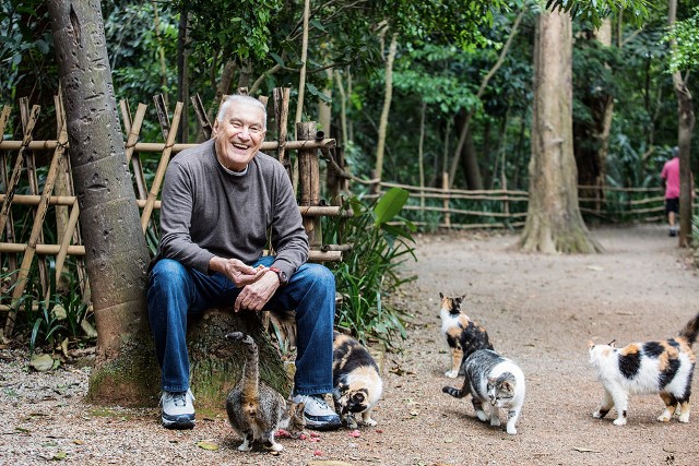 Aos 82 anos, aposentado alimenta gatos abandonados no Parque da Independência