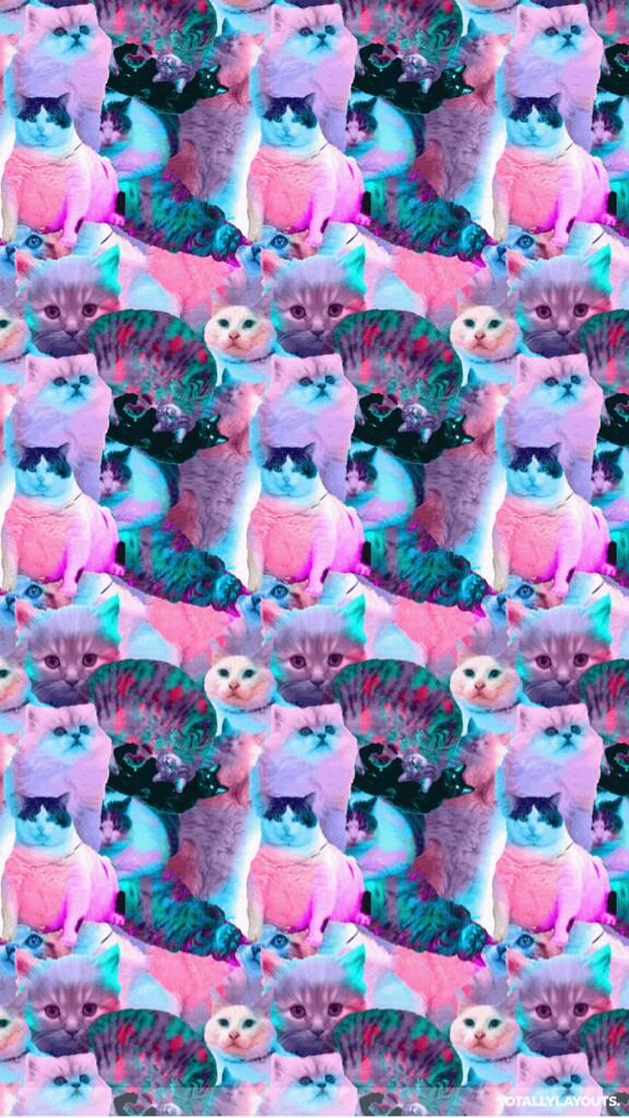LSD Cats: a psicodelia pura desse perfil do Twitter