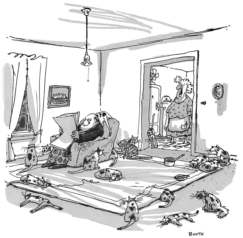 blog-bichos-charge-casal
