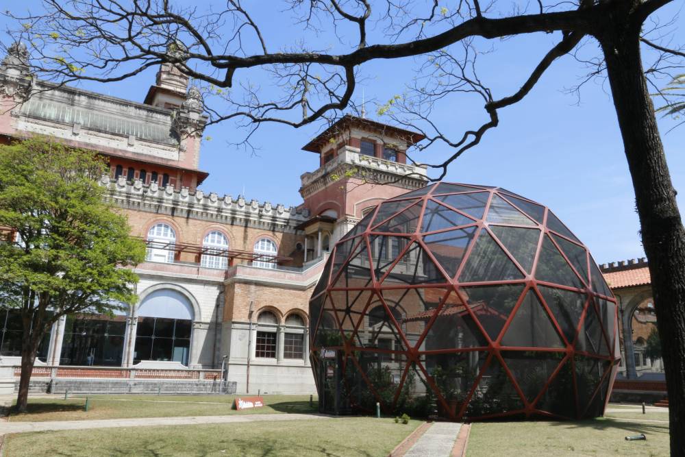 Catavento Cultural e Educacional vai inaugurar um borboletário