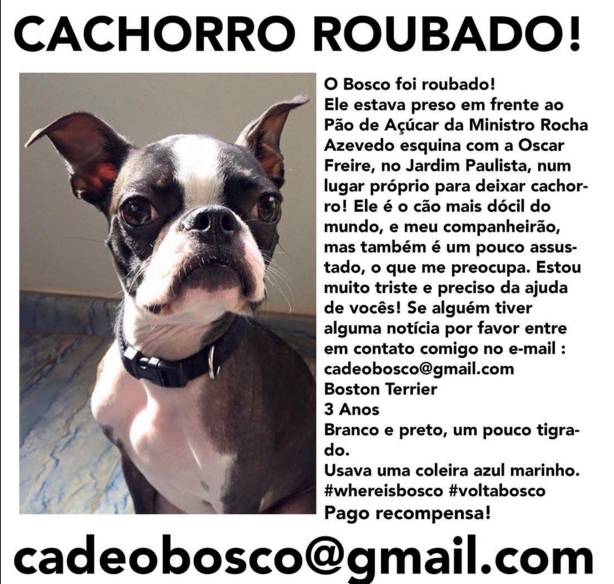 Vídeo mostra ladrões furtando cachorro em frente ao Pão de Açúcar da Oscar Freire