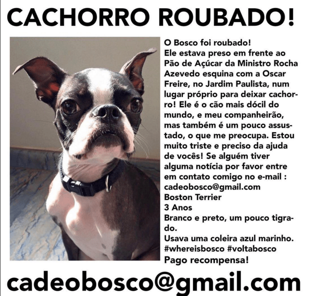 Vídeo mostra ladrões furtando cachorro em frente ao Pão de Açúcar da Oscar Freire