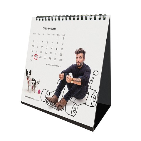 Compre calendários 2017 de ONGs de proteção animal e ajude a causa