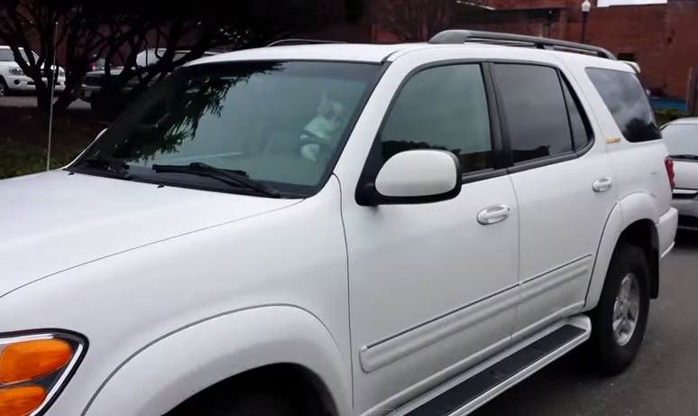 Cachorro trancado no carro não deixa barato e toca a buzina sem parar. Confira o vídeo