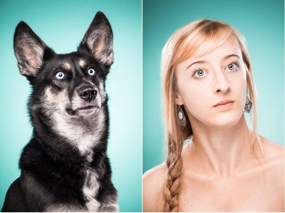 Ensaio fotográfico mostra cães sendo imitados pelos seus donos