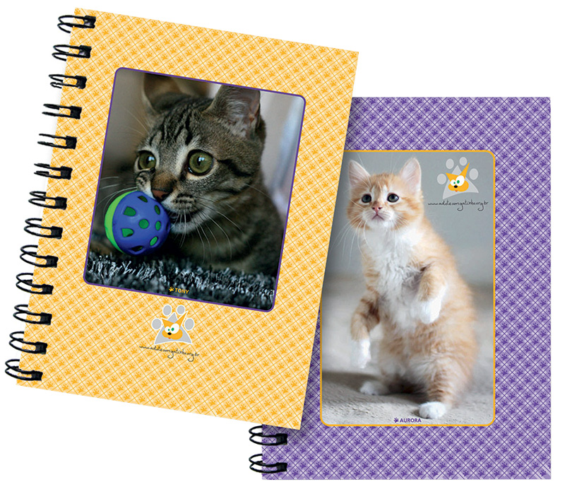 Bazar da ONG Adote um Gatinho está em sua sexta edição