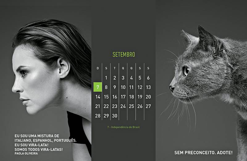 Instituições de proteção animal lançam calendários para arrecadar dinheiro. Saiba onde comprá-los