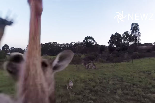 Garoto desafia vilão do filme ‘A Bela e a Fera’ em parque da Disney e faz sucesso na internet; assista