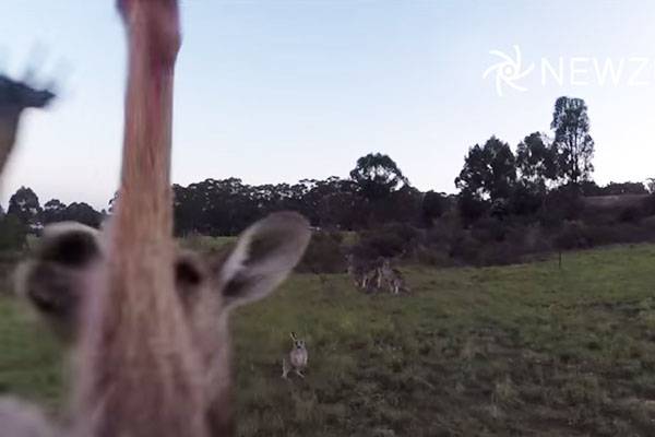 Garoto desafia vilão do filme ‘A Bela e a Fera’ em parque da Disney e faz sucesso na internet; assista
