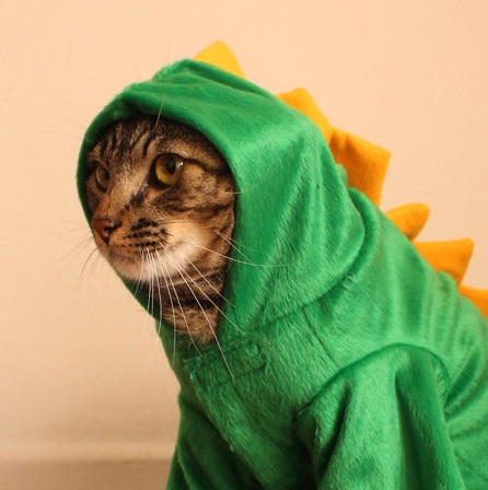 Cansei de Ser Gato lança loja virtual que vende fantasias divertidas para gatos e cães de pequeno porte