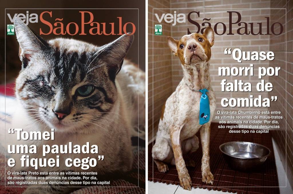 Como ajudar os protetores que salvaram Preto e Chumbinho