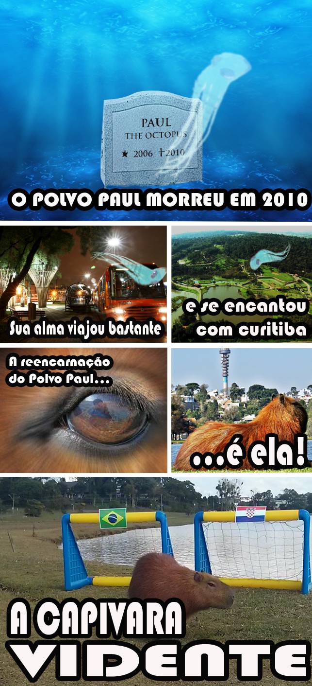 Paul, a capivara vidente que pretende acertar os resultados dos jogos brasileiros na Copa