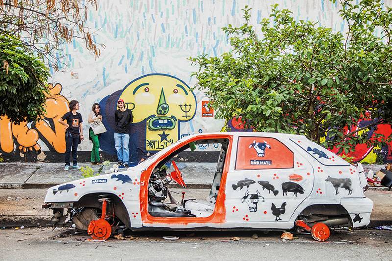 Coletivo pinta carro abandonado em Santa Cecília para chamar atenção aos direitos dos animais