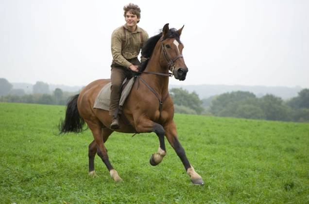 O amor incondicional entre um jovem e seu cavalo: Cavalo de Guerra O amor incondicional entre um jovem e seu cavalo: Cavalo de Guerra