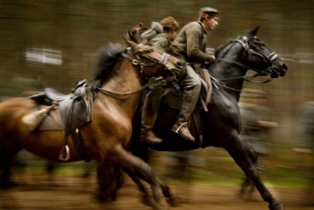 Cavalo de Guerra: filme é baseado num livro infantil de Michael Morpurgo