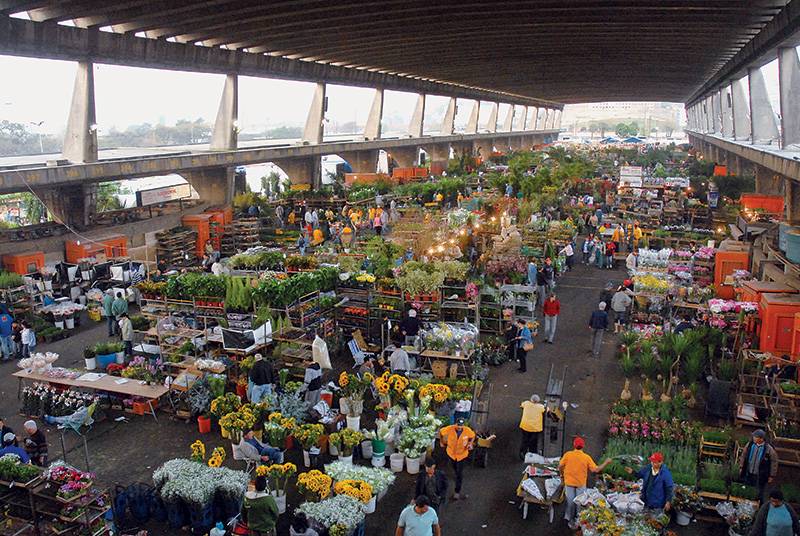 Ceagesp volta a funcionar nesta quarta-feira (12)