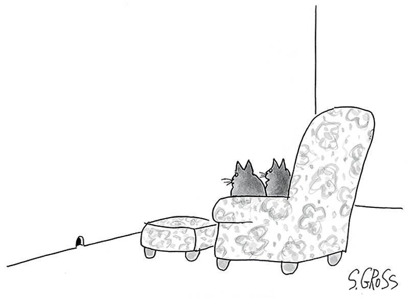 Gatos econômicos