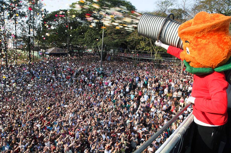 Campo de flores, em Holambra Campo de flores, em Holambra