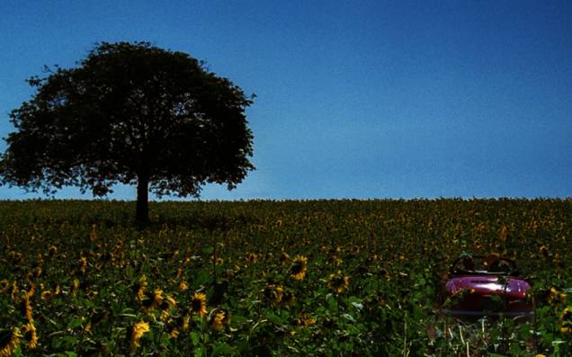 Colegas: Kikito de melhor filme no Festival de Gramado 2012 Colegas: Kikito de melhor filme no Festival de Gramado 2012