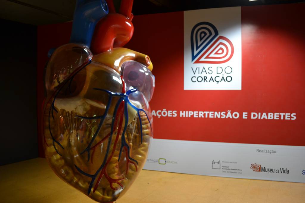 Mais de 2 metros: coração gigante permite que as crianças entendam o funcionamento do órgão Mais de 2 metros: coração gigante permite que as crianças entendam o funcionamento do órgão