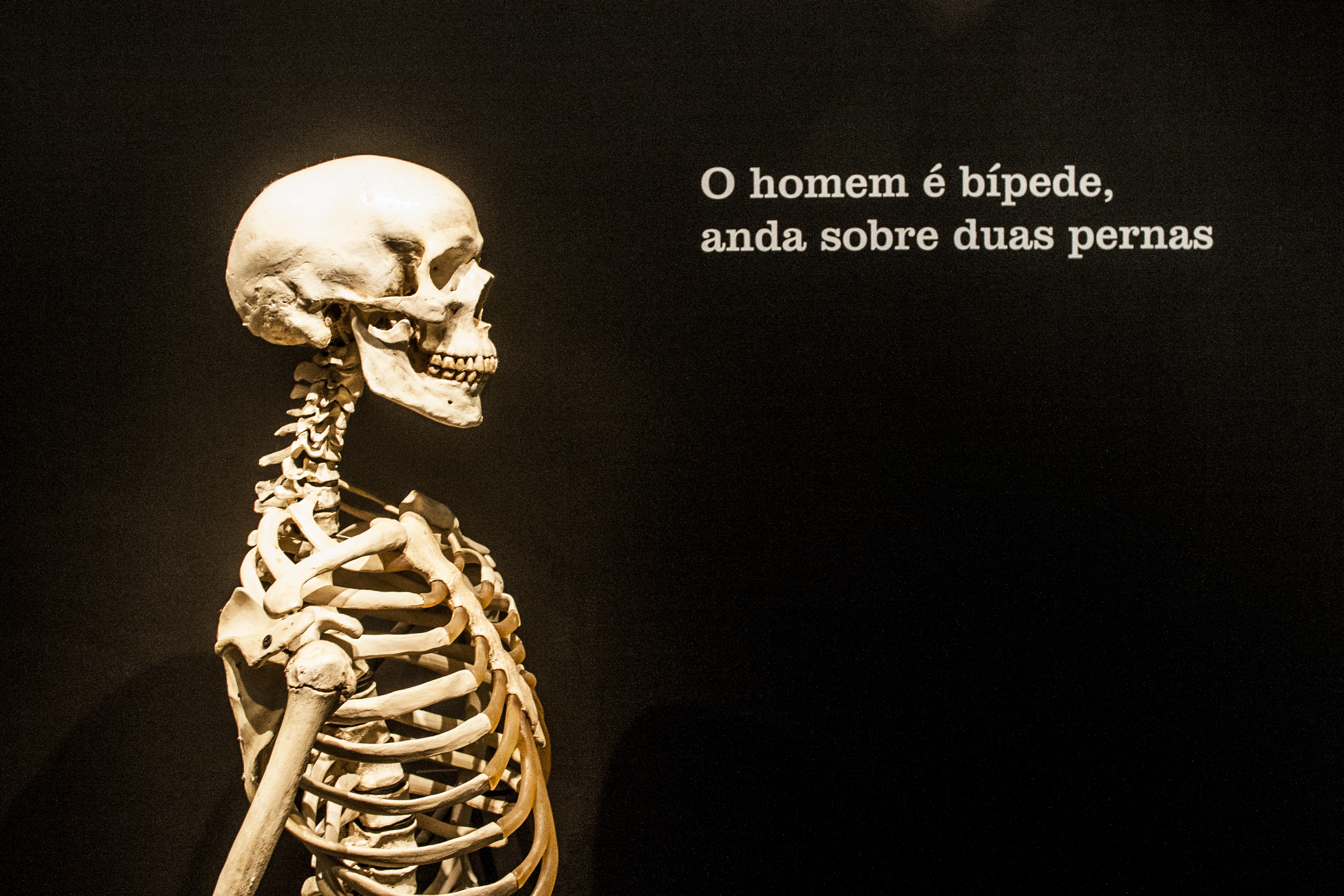 A mostra acontece em uma nova área do museu. Antes inexploradas, as arcadas subterrâneas começaram a ser restauradas em 2012 e somam 5 500 metros quadrados