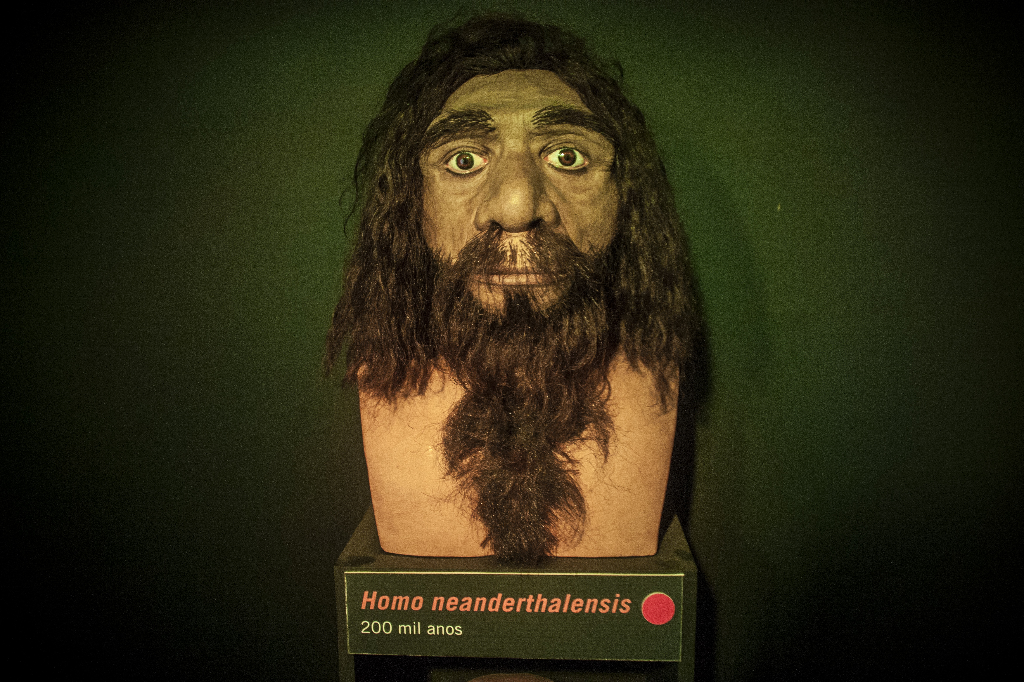 As reconstituições foram inspiradas em modelos exibidos em locais como o Museu Americano de História Natural, em Nova York