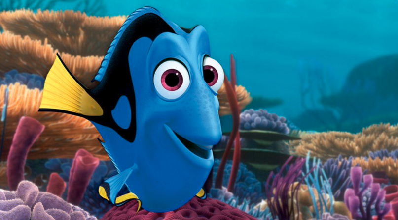 dory