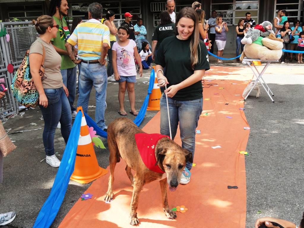 Um dia no Centro de Controle de Zoonoses