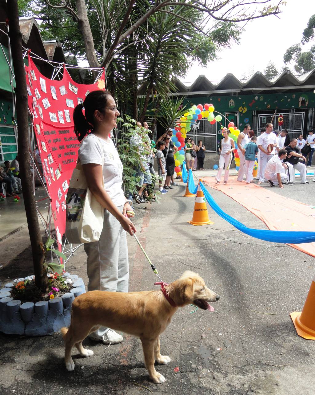 CCZ em festa: o tema do próximo evento para incentivar a adoção é primavera