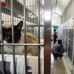 dsc02495-copia_0