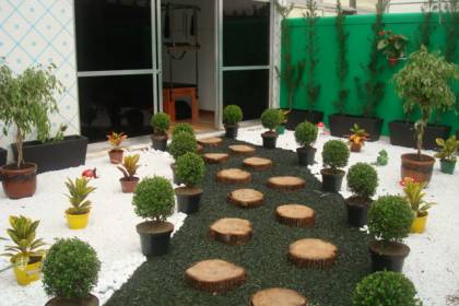 Instituto Amazônia dsc04232.jpeg