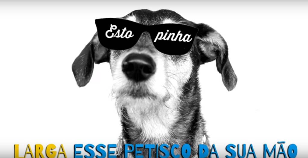 Vira-lata Estopinha faz paródia da música ‘Bang’, de Anitta