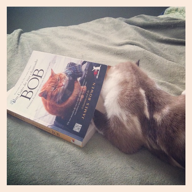 Fotos vencedoras da missão “Livros: o que o paulistano está lendo?”