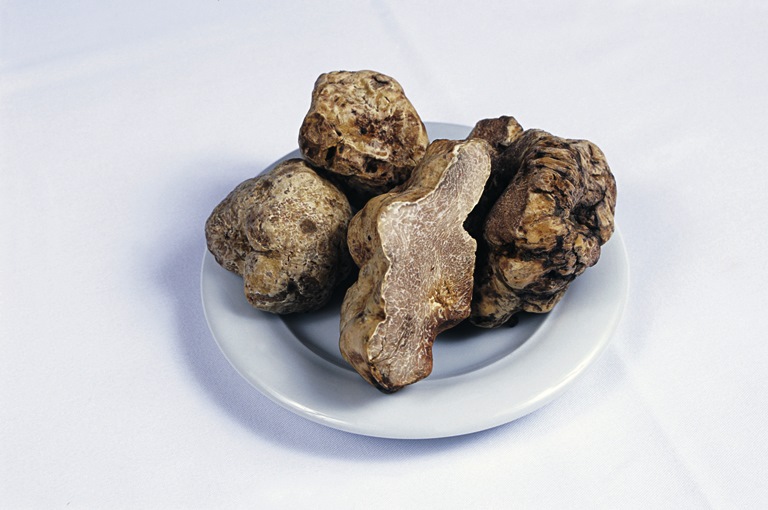 Fasano: em busca da trufa perdida