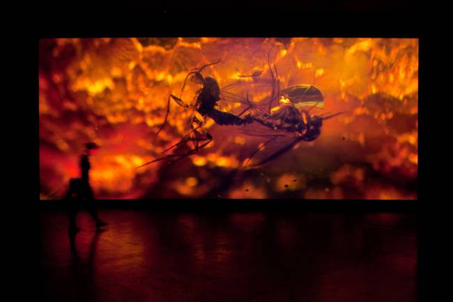 Pierre Huyghe_32a Bienal