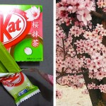 13) Flor de Cerejeira &mdash; &eacute; s&eacute;rio. N&atilde;o perguntem. Ser&aacute; que eles foram no Parque do Carmo procurar inspira&ccedil;&atilde;o para esse sabor?