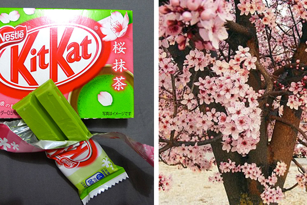 13) Flor de Cerejeira &mdash; &eacute; s&eacute;rio. N&atilde;o perguntem. Ser&aacute; que eles foram no Parque do Carmo procurar inspira&ccedil;&atilde;o para esse sabor?