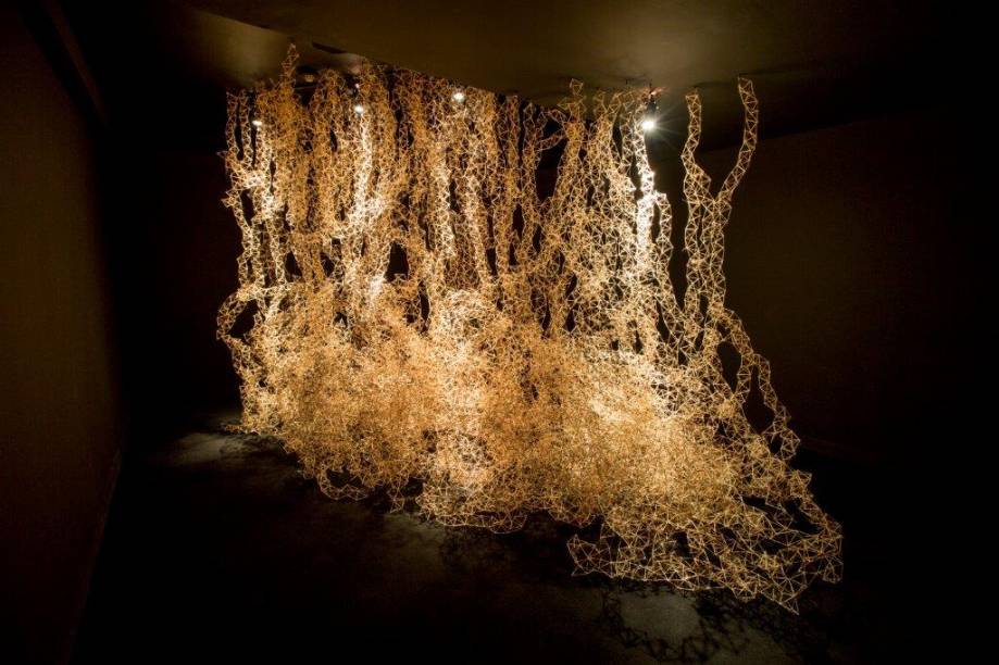 batizada de Modelo para la Supervivencia batizada de Modelo para la Supervivencia