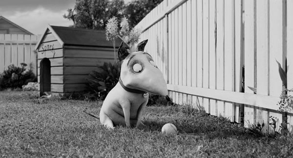 Frankenweenie, de Tim Burton: animação em preto e branco Frankenweenie, de Tim Burton: animação em preto e branco