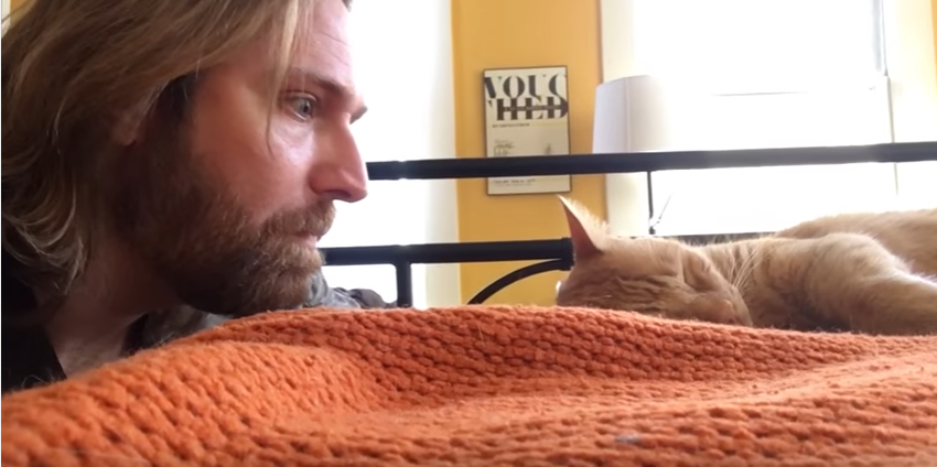 Dono “se vinga” de gato que o acorda com miados todas as madrugadas