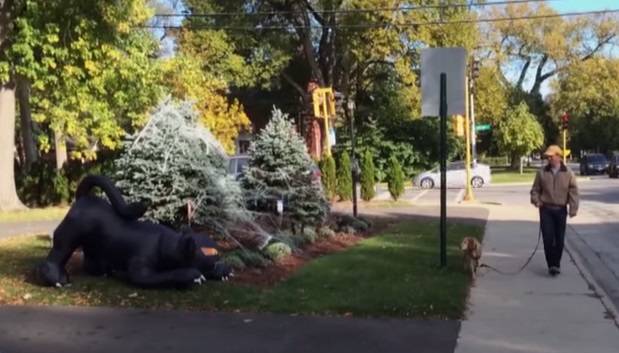 Cachorro leva susto com estátua de gato gigante que se mexe