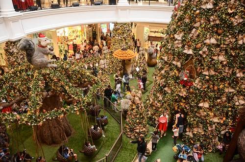 Natal Mágico dos Esquilos Natal Mágico dos Esquilos
