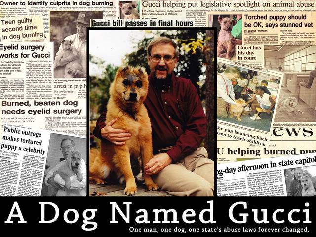 História de cãozinho queimado virou tema de documentário