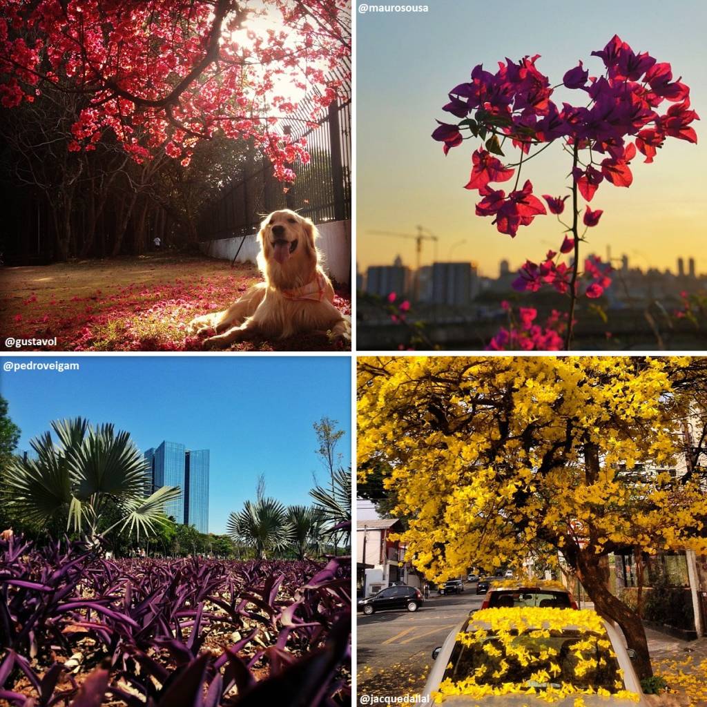 Missão da semana: ‘O primeiro fim de semana da primavera’