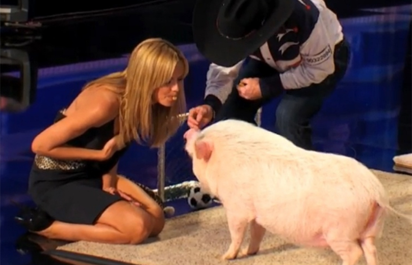 Modelo Heidi Klum beija porquinho ao vivo no “America’s Got Talent”