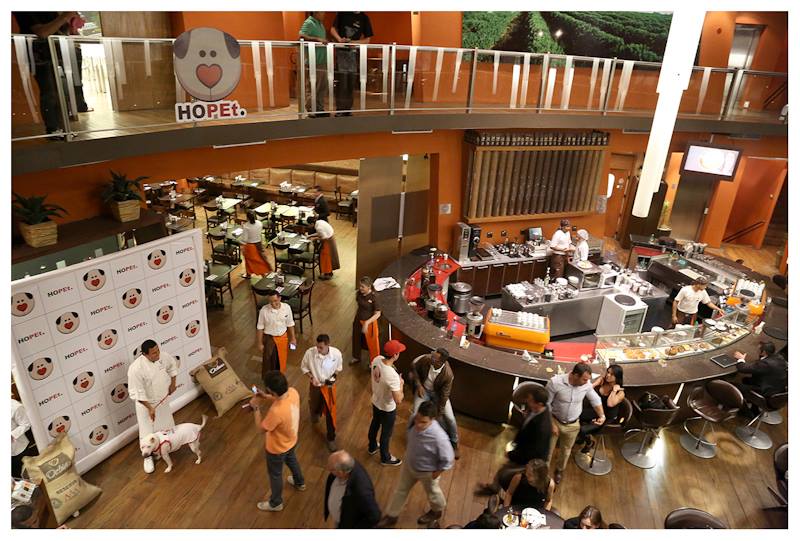 Grupo de proteção animal organiza jantar vegetariano beneficente